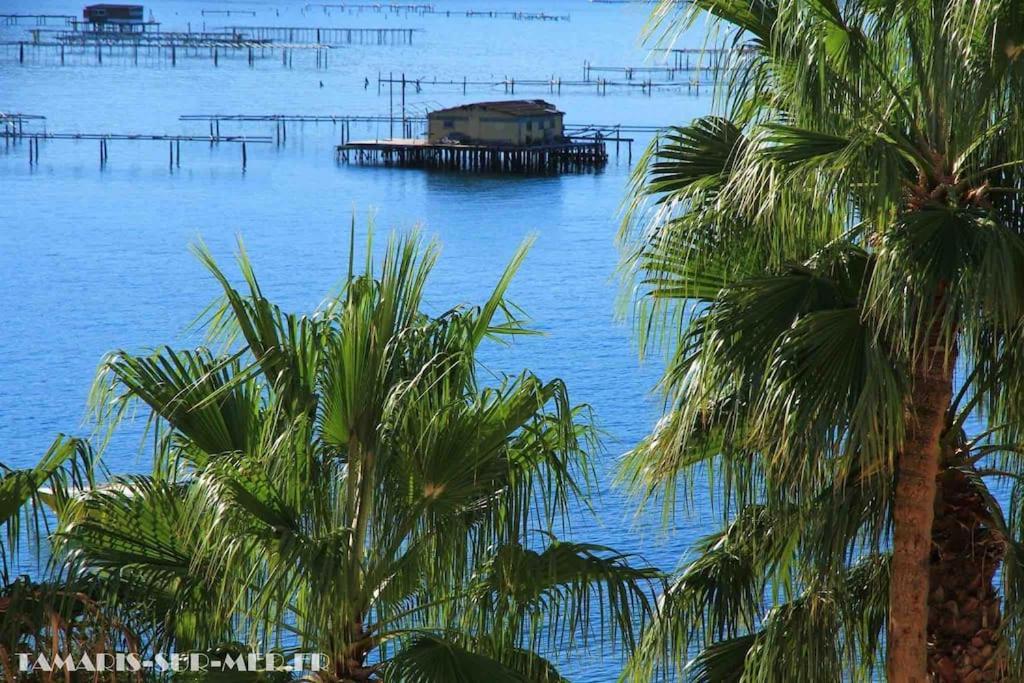 Le Dyonisos Et Piscine Διαμέρισμα La Seyne-sur-Mer Εξωτερικό φωτογραφία